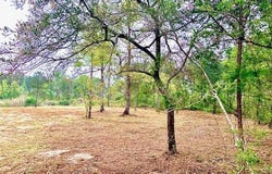 0 7th Street, Bay Minette, AL 36507