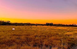 TBD Tract 30 Indian Springs, Indian Gap, TX 76531