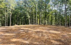 1033 Strike King Dr (Lot 195), Cedar Grove, TN 38321