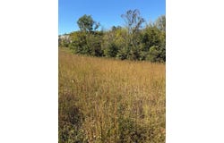 11.7 ac Byrdstown Hwy, Livingston, TN 38570