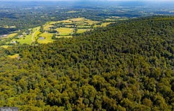 TREE CROPS LANE, ROUND HILL, VA 20141
