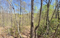 Maple Meadows Hoo Hoo Rd, WV