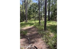 Vine Hollow, Woodville, MS 39669