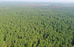 Planer Mill Rd, DeRidder, LA 70634