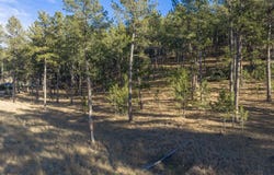 TBD Caledonia Trail, Custer, SD 57730