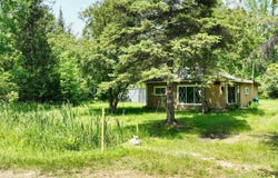 6002 Wildwood, Alger, MI 48610