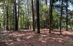 01 McHan Drive and Chickamauga Drive, Zwolle, LA 71486