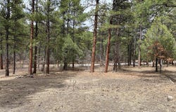 Private Drive 1754 blk 2 lot 24, Chama, NM 87520