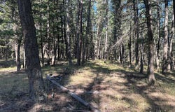 692 Morning View Drive, Kalispell, MT 59901