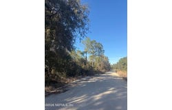 NETTLES, Florahome, FL 32140