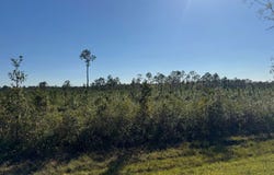 00 SW COUNTY ROAD 158, Jasper, FL 32052