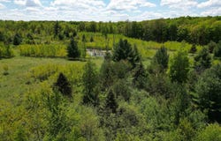 TBD 19 Mile Road, Marion, MI 49688