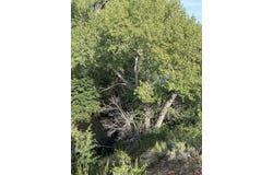 111 Prairie Wind Lane, Capulin, CO 81124