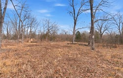 13361 N Banks Lane lot: 0, Bentonville, AR 72712
