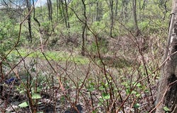 35 Burch Hill, Veteran, NY 14864