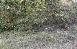 3551 Moonlight Road, Barnwell, SC 29853