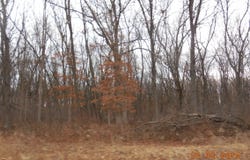 1110 S Lafayette Avenue, Griffith, IN 46319