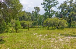 NE 676th Ln, Old Town, FL 32680