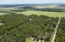 10050 Gregory AVe, Hastings, FL 32145