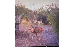 587 Valley Rd, Eldorado, TX 76936