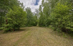 Tbd State Hwy 200 NE, Longville, MN 56655