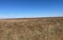 1 FM 2192, Wilson, TX 79381