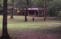 546 Jenkins Road, Clinton, AR 72031