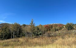 833 S EUTAW RD #46, Garden City, UT 84028