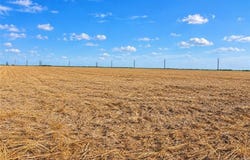 25737 Eyhorn Road, Edinburg, TX 78541