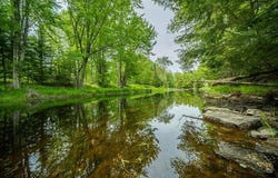 Appleton Ridge Road lot: 88-2, Searsmont, ME 04973