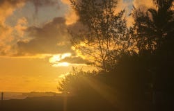 15-1023 ALA HEIAU RD, Keaau, HI 96749