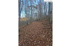 Junaluska Road, Boone, NC 28607