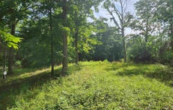 12326 N Ring Lane, Woodlawn, IL 62894
