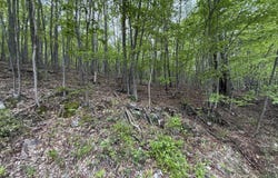 0 Cherry Run Road, Bedford, PA 15522