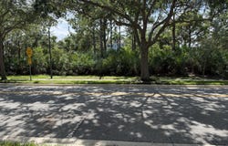 241 E Thatch Palm Circle, Jupiter, FL 33458