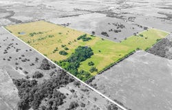 Tbd County Road 646, Thornton, TX 76687