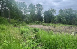 Franklin Street, Homer, NY 13077