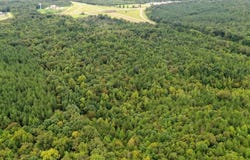 0 NE Frontage Road, Winona, MS 38967