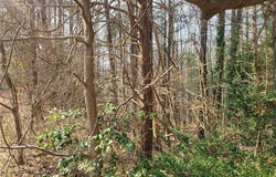 4712  Monaco Dr, Sandston, VA 23150