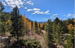 Bear Gulch Rd, Red Feather Lakes, CO 80545
