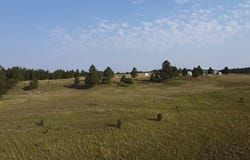 12075 True Grit Trail, Custer, SD 57730