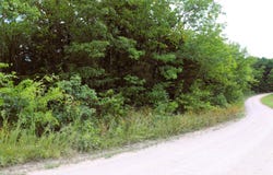 3 acres Co Rd 198, Danville, AL 35619