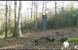/ Mickels Switch RD, Danville, AR 72833