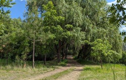 29511 SCHWACHTGEN RD, CHATTAROY, WA 99003