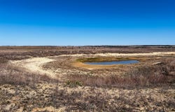 TBD County Road 506, Hamilton, TX 76531