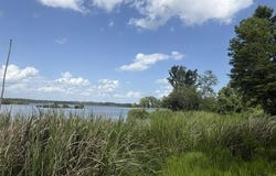 3196 Shadow Pine Dr, LaRue, TX 75770