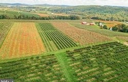 PARCEL 1, BENDERSVILLE, PA 17306