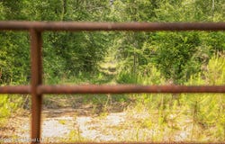 Graves Road, Liberty, MS 39645