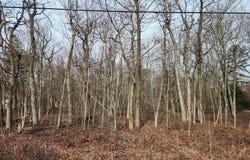 Panther Run Rd lot: D419, Jim Thorpe, PA 18229