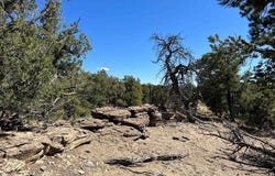 89 Ponderosa Views Loop, Pie Town, NM 87827